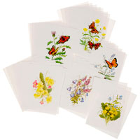 Stepper Prints