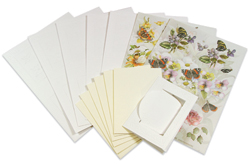 SWK85-0016<br>Staf Wesenbeek<br>Flowers & Butterflies